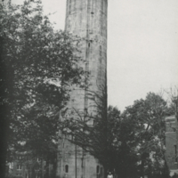 The Tower