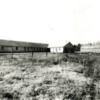 Dairy003.jpg