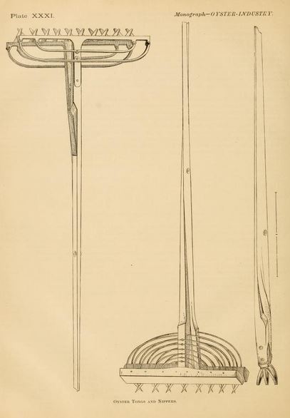 oystertongs2.JPG