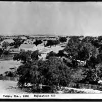Intersection_of_Monroe_and_Lafayette_streets_viewed_west_from_Court_House_Tampa_Fla.jpg