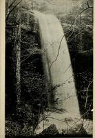 The Falls